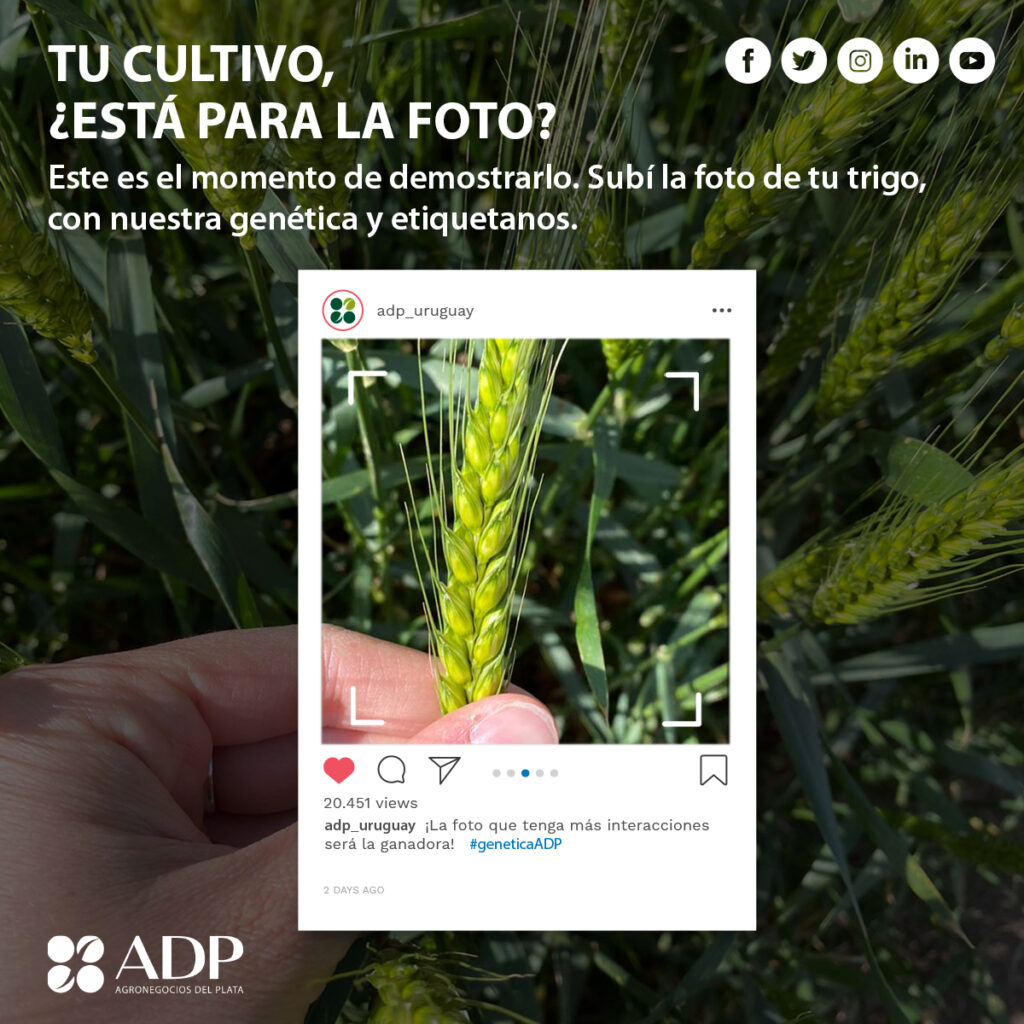 La empresa de producción agropecuaria lanzó un concurso fotográfico para que los productores muestren los resultados de sus cultivos