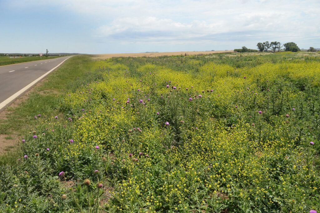 Syngenta presentó una nueva etapa de su programa Paisajes Multifuncionales