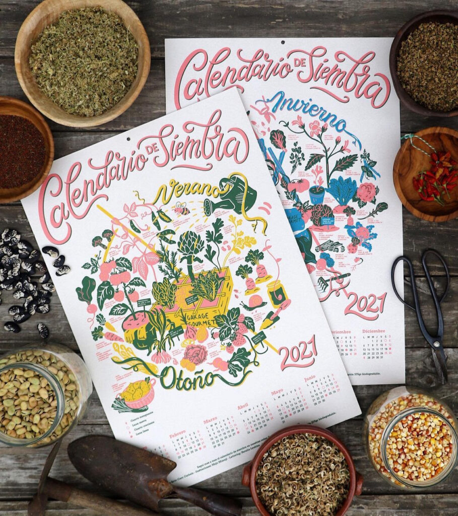 Nochebuena con las estrellas