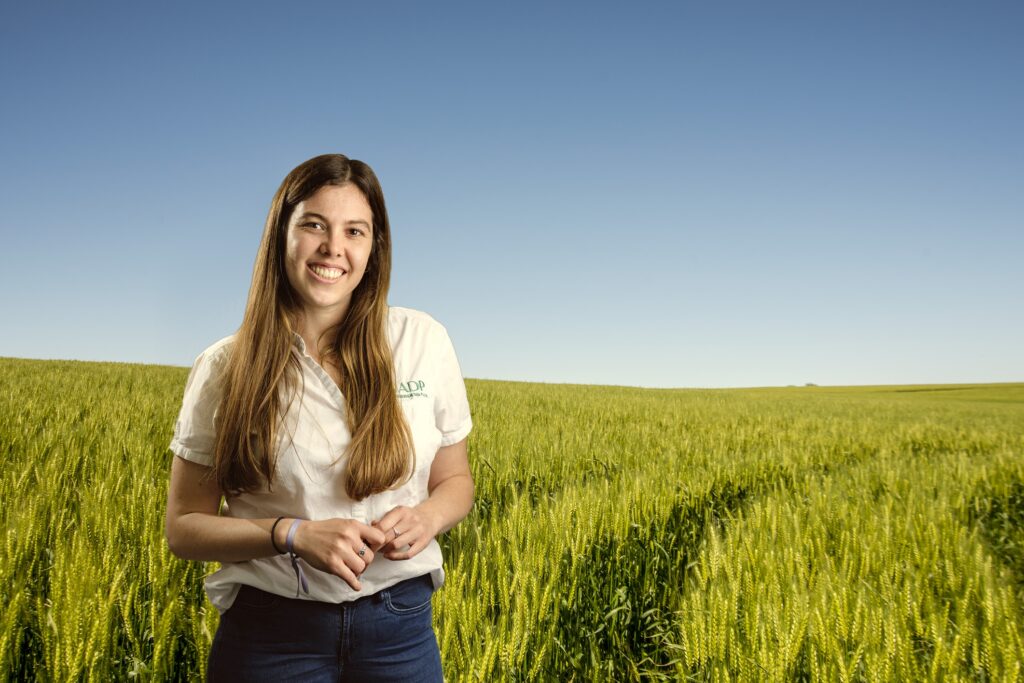 ADP proyecta un 10% del aumento del área en cultivos de invierno