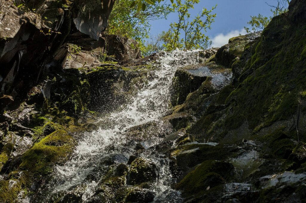 Coca-Cola presenta su Reporte Ambiental, Social y de Gobernanza Corporativa 2020