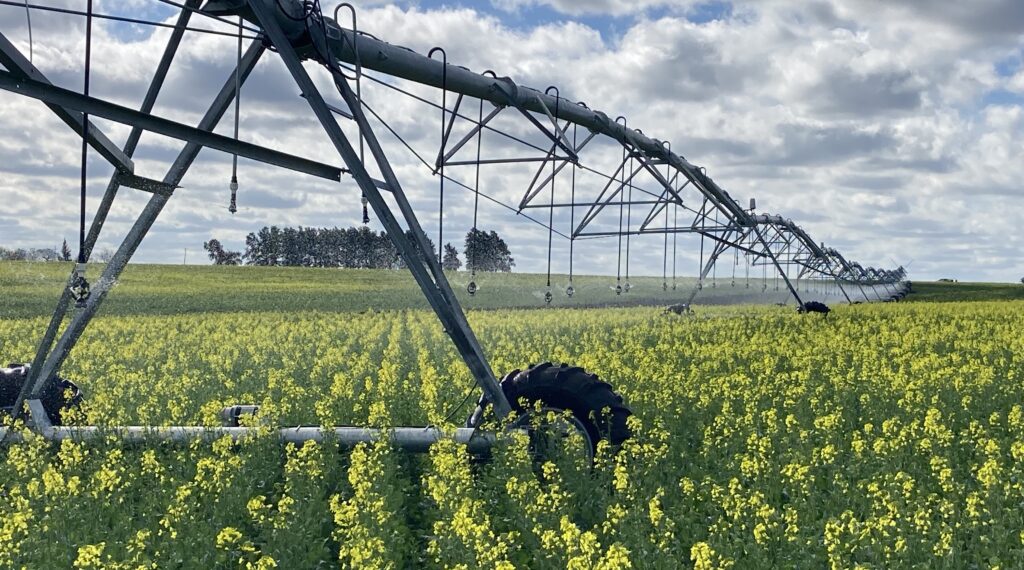 TIERRAS DEL LITORAL II REALIZÓ UNA EXITOSA EMISIÓN DE US$ 100 MILLONES DE TÍTULOS MIXTOS EN BEVSA
