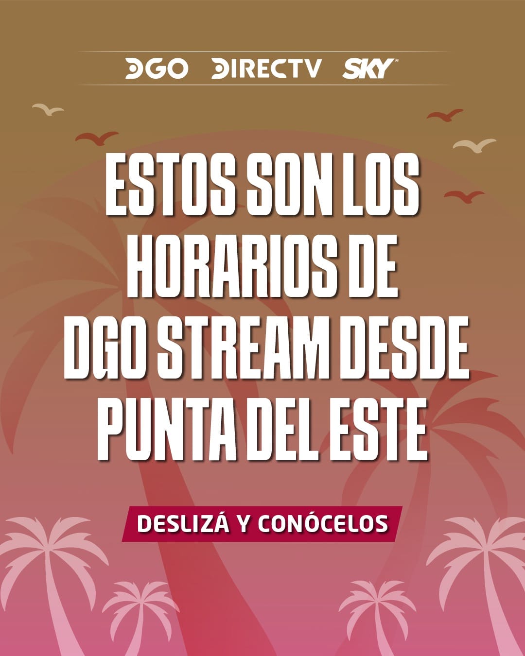 DGO STREAM desde Punta del Este 🏖️